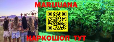 spice Малоярославец