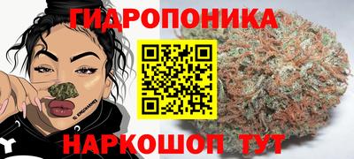 spice Малоярославец