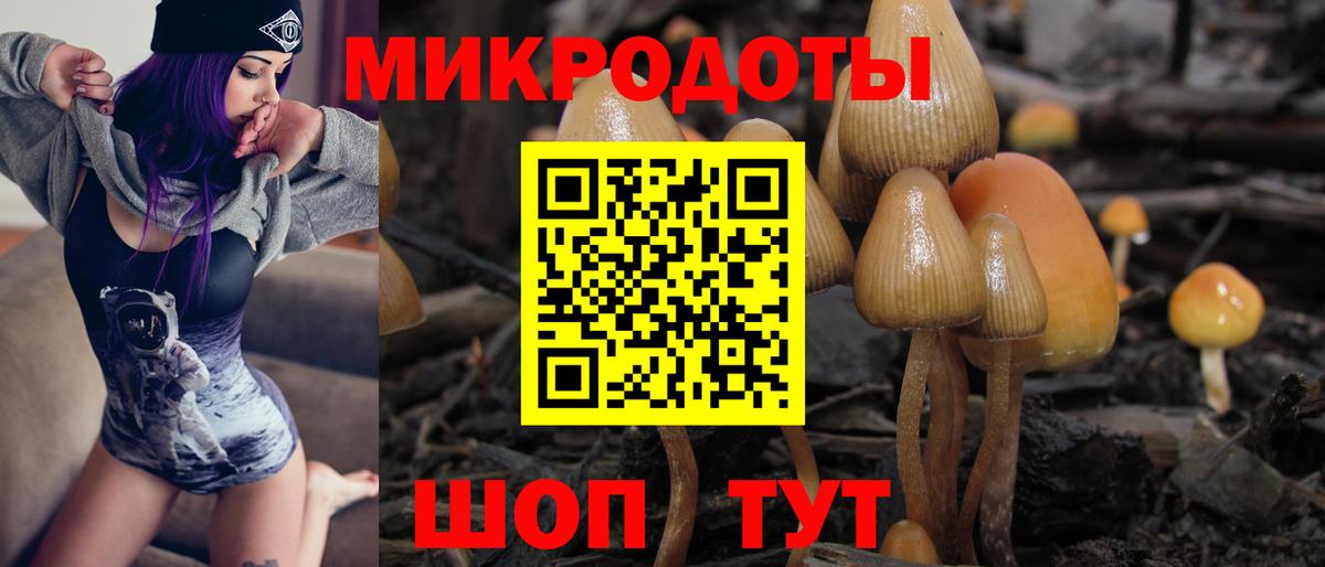 Псилоцибиновые грибы GOLDEN TEACHER  Вход с VPN  Всеволожск 